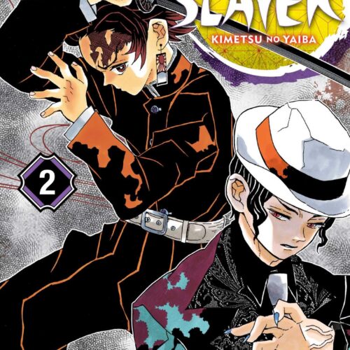 Demon Slayer Kimetsu no Yaiba