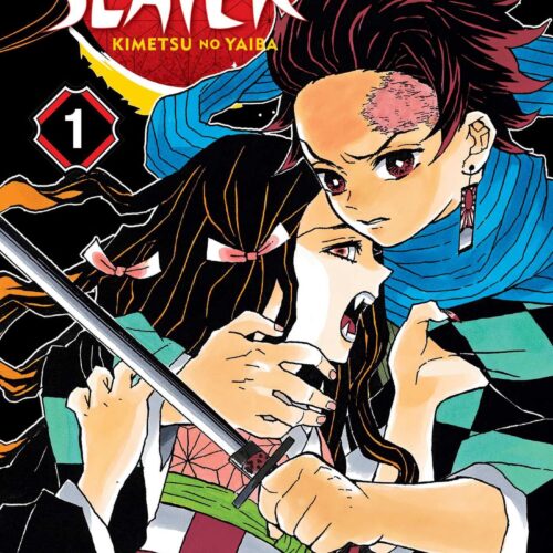 Demon Slayer Kimetsu no Yaiba, Vol.